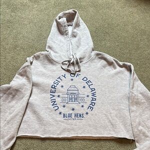 University of Delaware Gray Hoodie